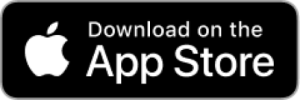 Icon App Store