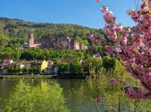 csm_Bild_Schloss_Blueten_5887e2507a